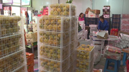 筑牢食用農(nóng)產(chǎn)品批發(fā)“節(jié)前關(guān)口”，全力守護(hù)百姓“舌尖上的安全”