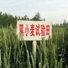 真空包裝農(nóng)產(chǎn)品 從廠家到批發(fā)市場(chǎng)的產(chǎn)業(yè)鏈解析