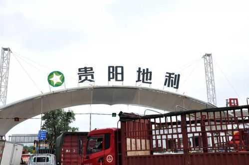 地利集團(tuán)十家農(nóng)批市場(chǎng)榮膺2018年度全國(guó)百?gòu)?qiáng)，彰顯農(nóng)產(chǎn)品流通行業(yè)標(biāo)桿力量